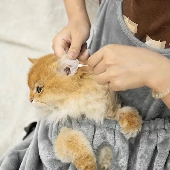 Cat Carrier Apron - LightsBetter