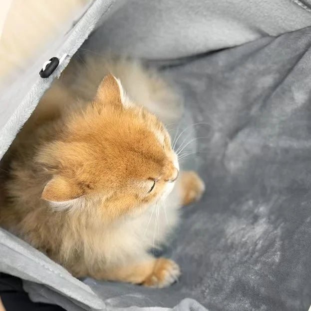 Cat Carrier Apron - LightsBetter