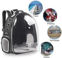 Thumbnail for Cat Carrier - LightsBetter