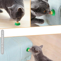 Thumbnail for Catnip Candy / 2Pcs - LightsBetter