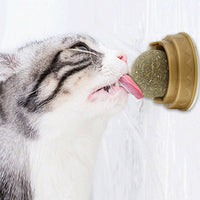 Thumbnail for Catnip Candy / 2Pcs - LightsBetter