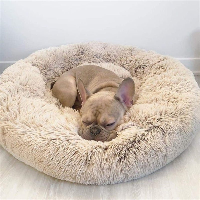 Deep Sleep Calming Bed - LightsBetter