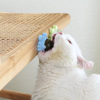 Thumbnail for Catnip Candy / 2Pcs - LightsBetter