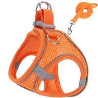 Thumbnail for Pet harness and leash - LightsBetter