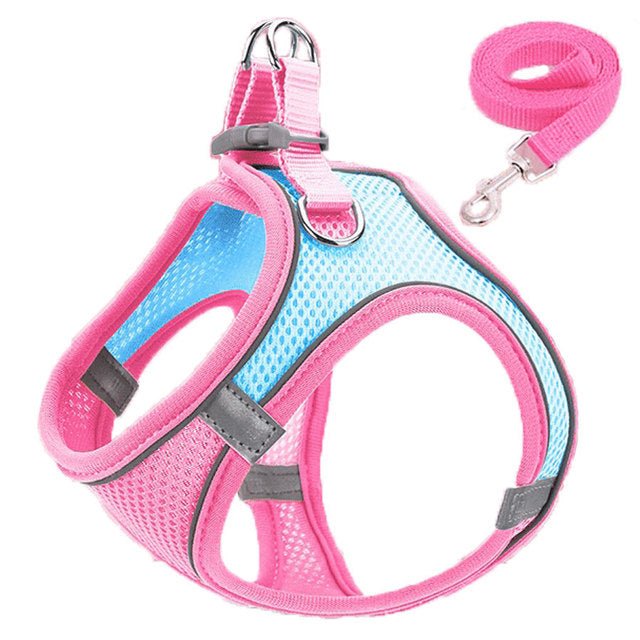Pet harness and leash - LightsBetter