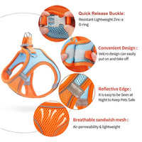Thumbnail for Pet harness and leash - LightsBetter