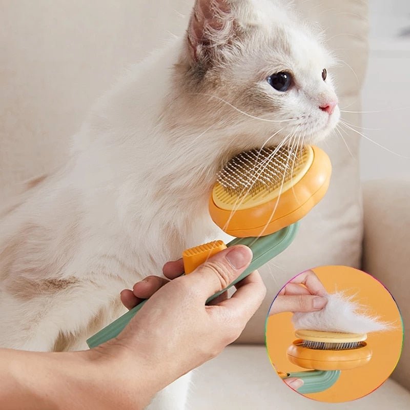Cat Brush - LightsBetter