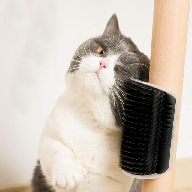 Cat Self Grooming Brush / 2 Pcs - LightsBetter