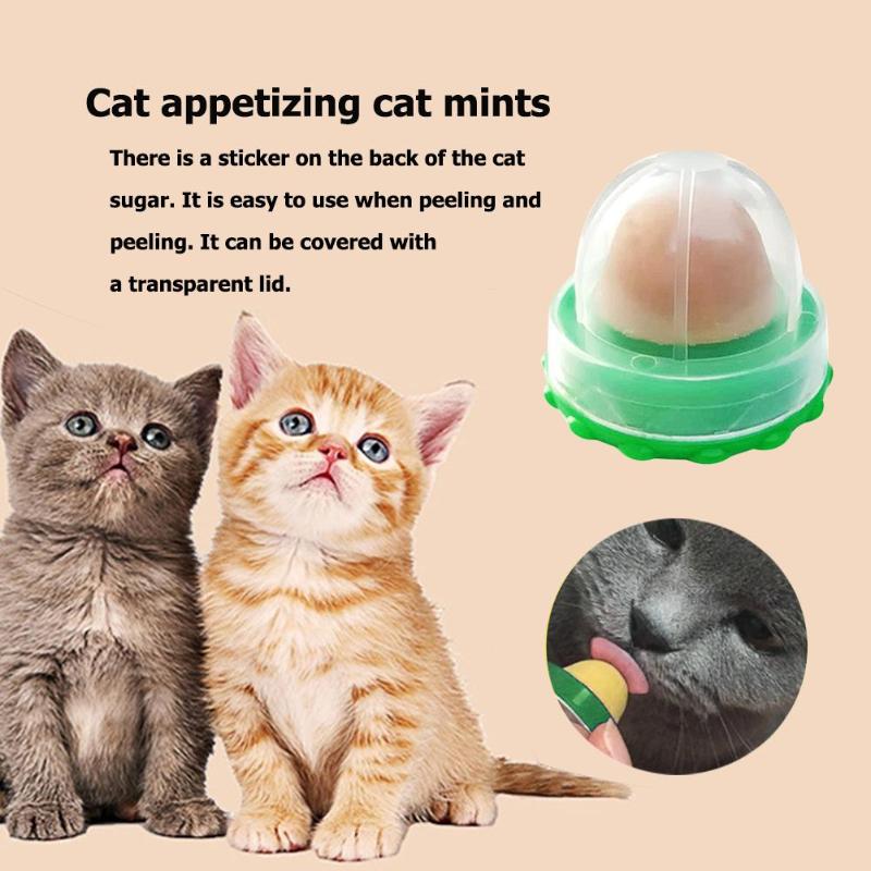 Catnip Candy / 2Pcs - LightsBetter
