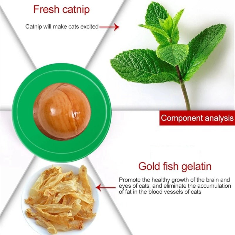Catnip Candy / 2Pcs - LightsBetter