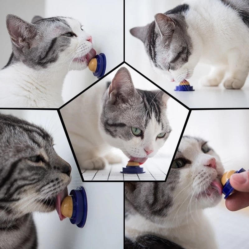 Catnip Candy / 2Pcs - LightsBetter