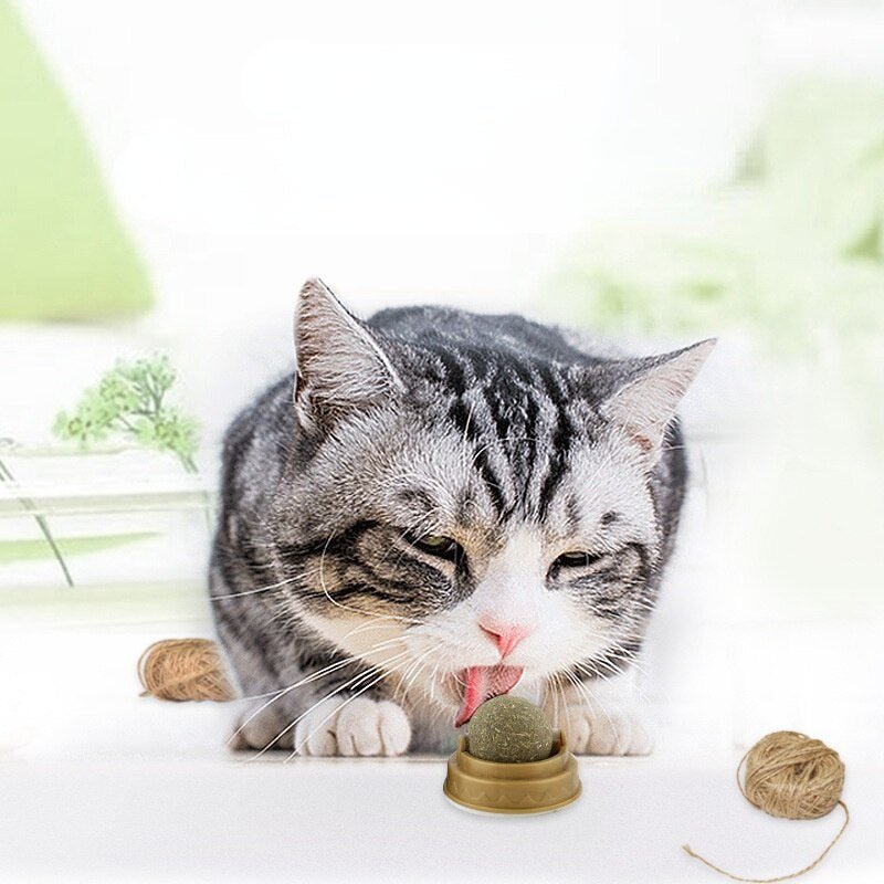 Catnip Candy / 2Pcs - LightsBetter
