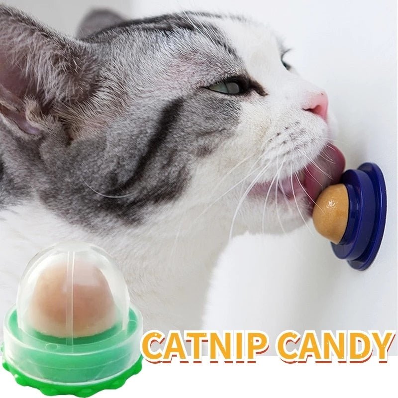 Catnip Candy / 2Pcs - LightsBetter