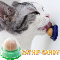 Thumbnail for Catnip Candy / 2Pcs - LightsBetter