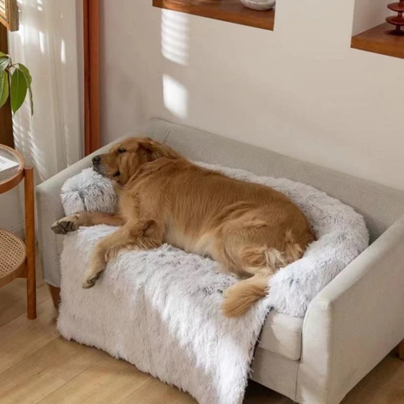 Dog Sofa Bed - LightsBetter