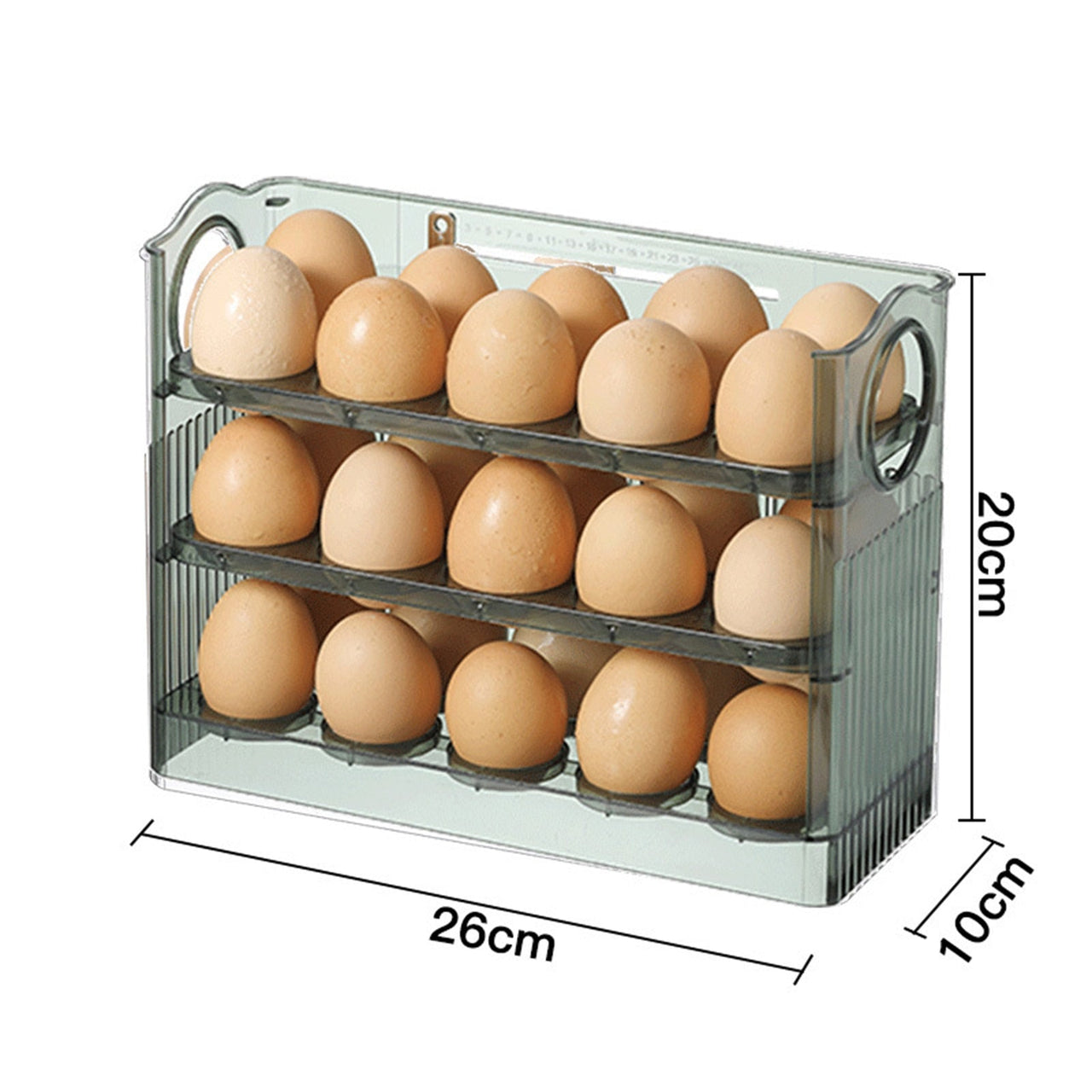 Egg Refrigerator Organizer - LightsBetter