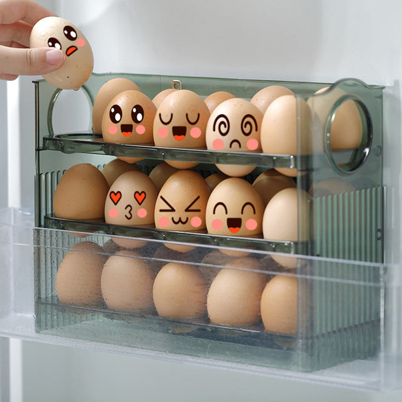 Egg Refrigerator Organizer - LightsBetter