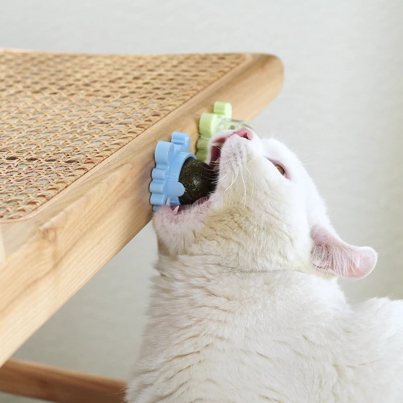 Catnip Candy / 2Pcs - LightsBetter