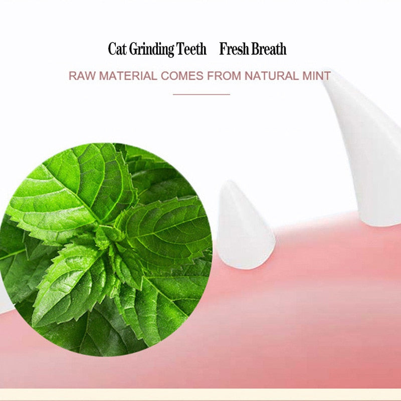 Catnip Candy / 2Pcs - LightsBetter