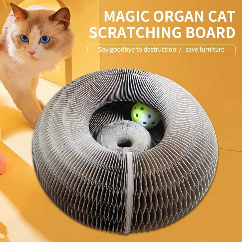 Magic Scratching Board - LightsBetter