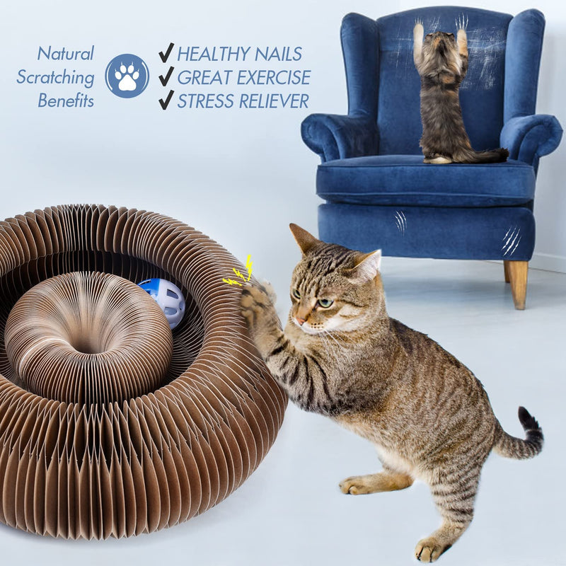 Magic Scratching Board - LightsBetter