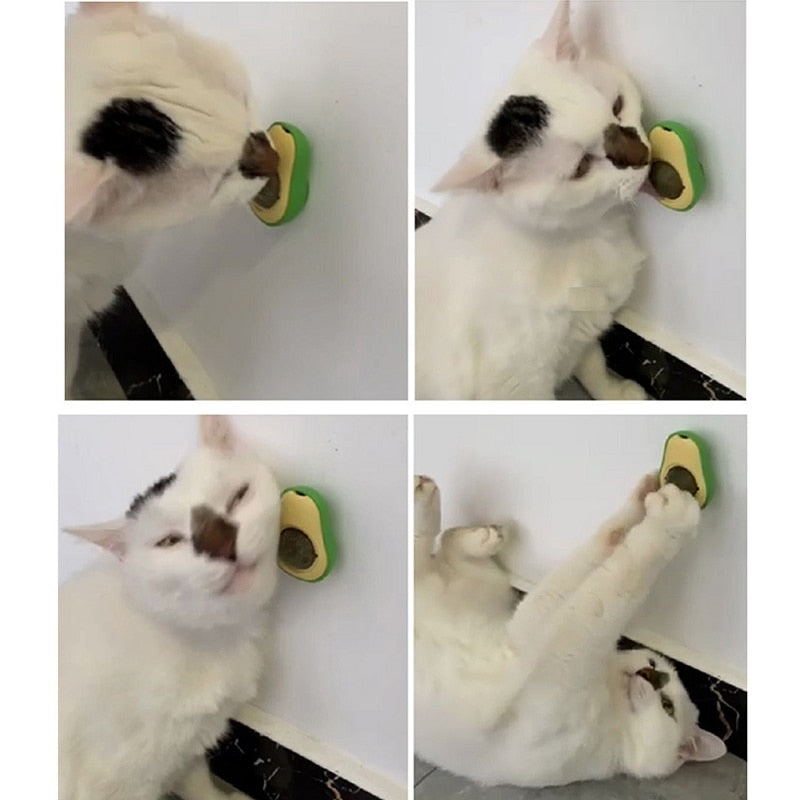 Catnip Candy / 2Pcs - LightsBetter