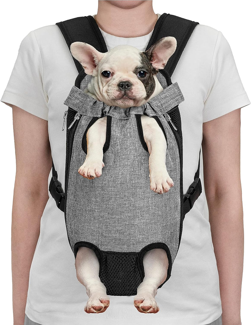 Mesh Pet Carrier - LightsBetter