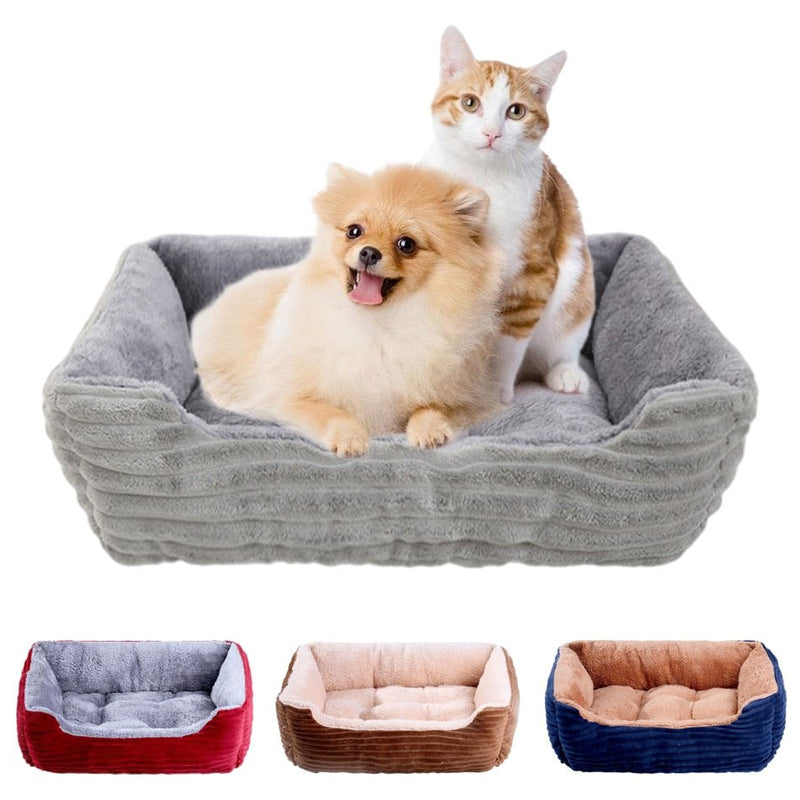 Orthopaedic Pet Bed - LightsBetter