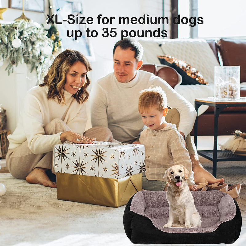 Orthopaedic Pet Bed - LightsBetter