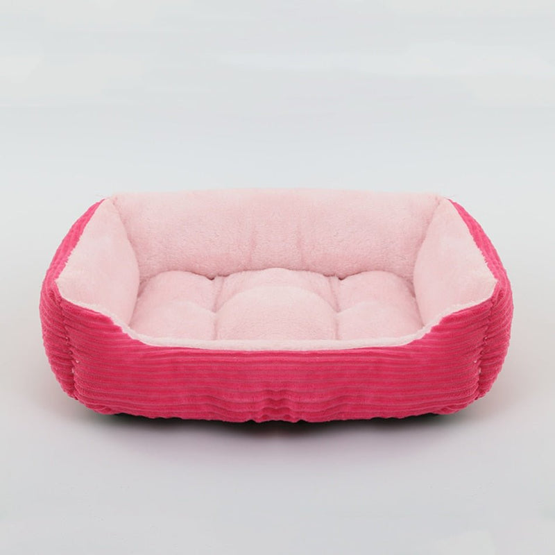 Orthopaedic Pet Bed - LightsBetter