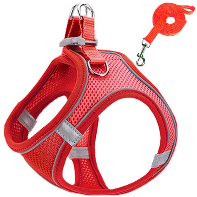 Pet harness and leash - LightsBetter