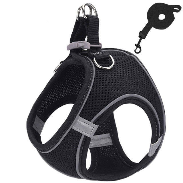 Pet harness and leash - LightsBetter