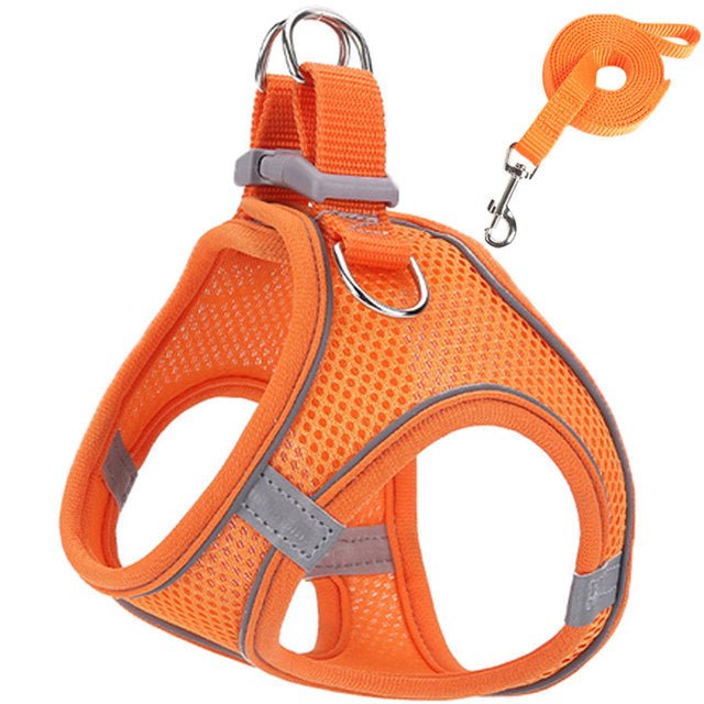 Pet harness and leash - LightsBetter