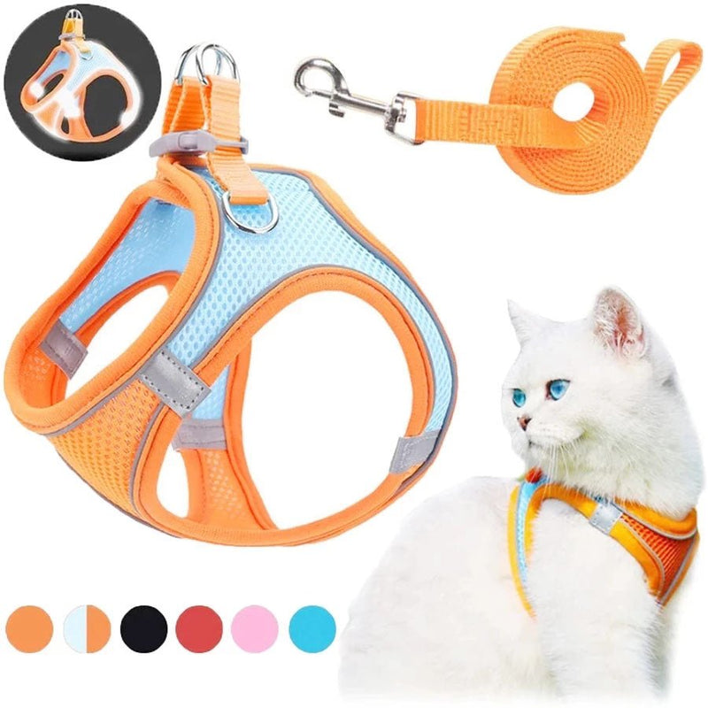 Pet harness and leash - LightsBetter