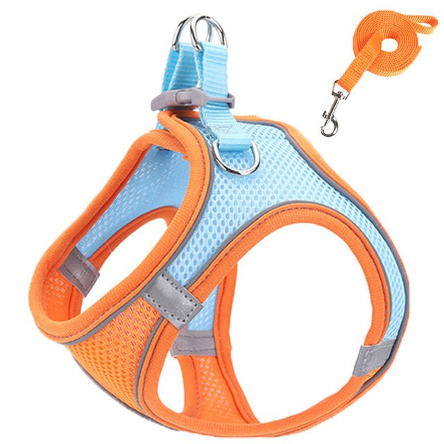 Pet harness and leash - LightsBetter