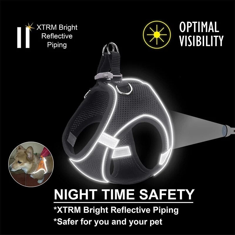 Pet harness and leash - LightsBetter