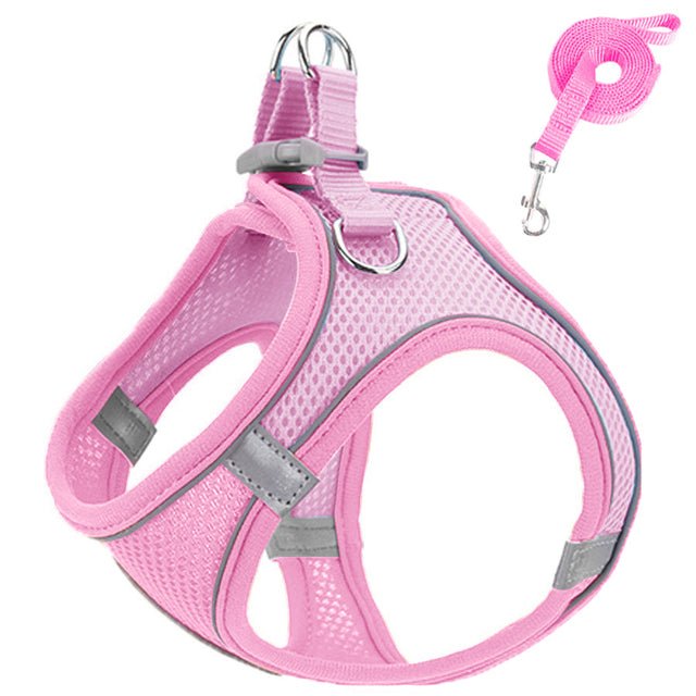 Pet harness and leash - LightsBetter