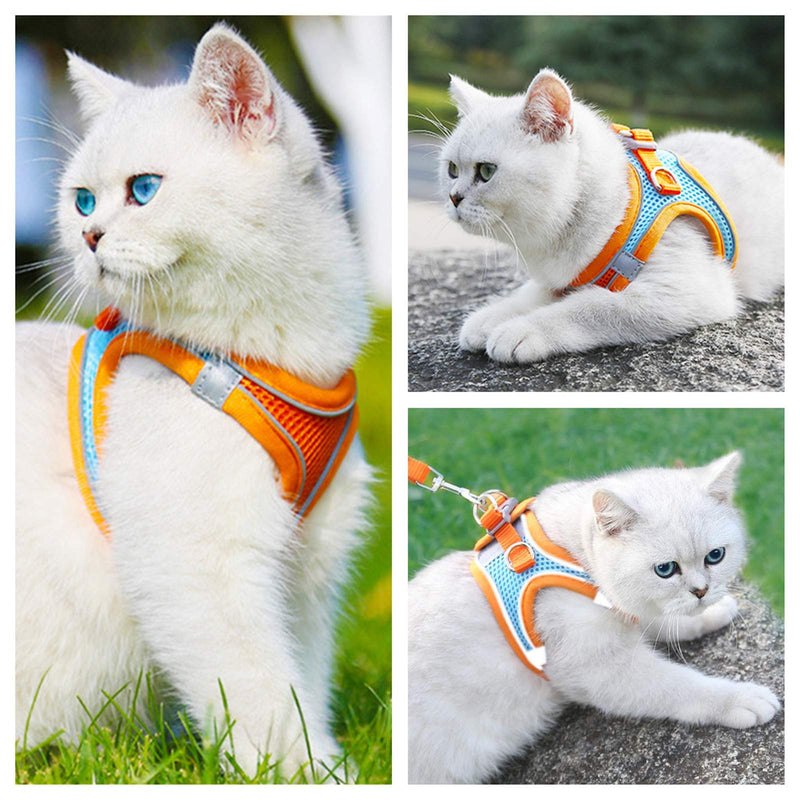 Pet harness and leash - LightsBetter