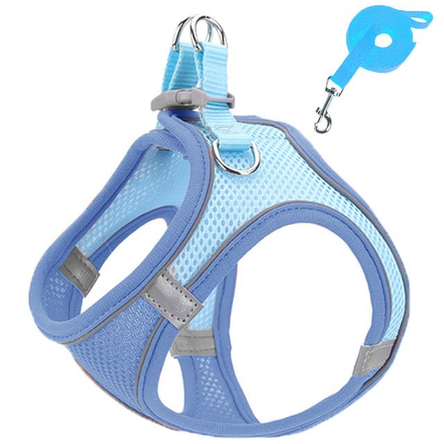 Pet harness and leash - LightsBetter