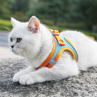 Thumbnail for Pet harness and leash - LightsBetter