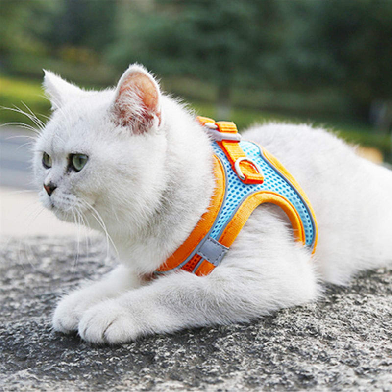 Pet harness and leash - LightsBetter