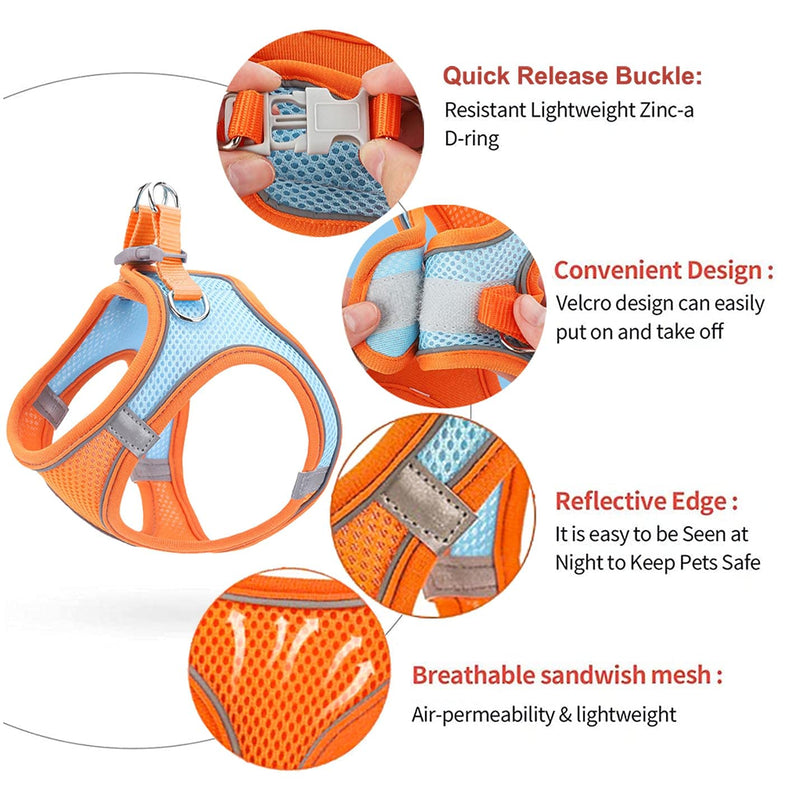 Pet harness and leash - LightsBetter