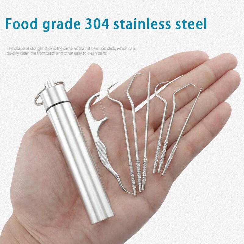 Stainless Steel Toothpick Set - LightsBetter