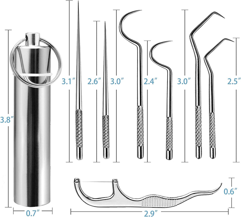 Stainless Steel Toothpick Set - LightsBetter