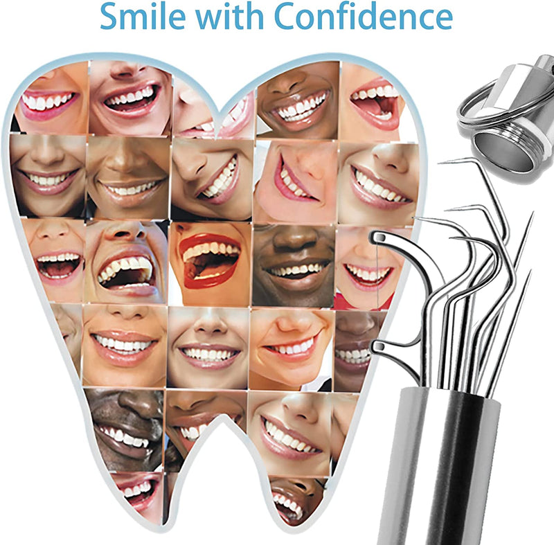 Stainless Steel Toothpick Set - LightsBetter